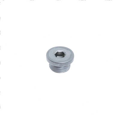 Picture of Plug - Thread