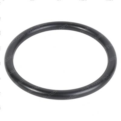 Picture of O Ring Seal