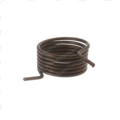 Picture of Spring - Torsion