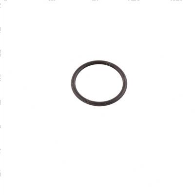 Picture of O-Ring