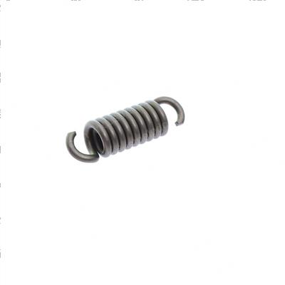 Picture of Spring Main