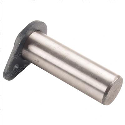 Picture of Pin Assembly