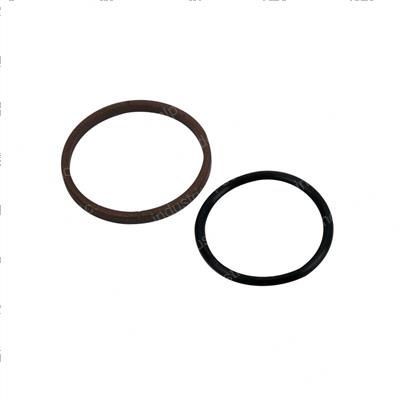 Picture of Seal Assembly