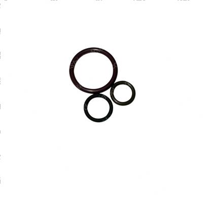 Picture of Seal Kit - Valve