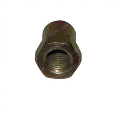 Picture of Nut