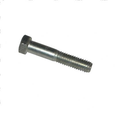 Picture of Bolt