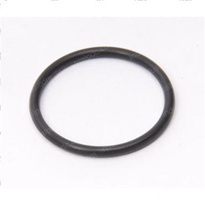 Picture of O-Ring