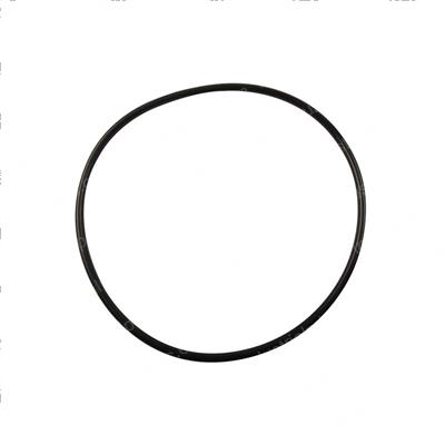 Picture of O-Ring