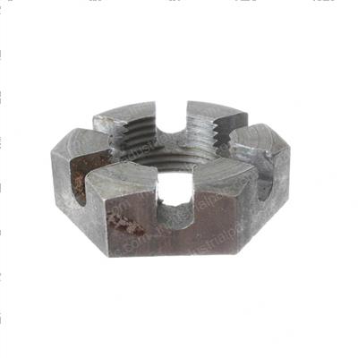 Picture of Nut