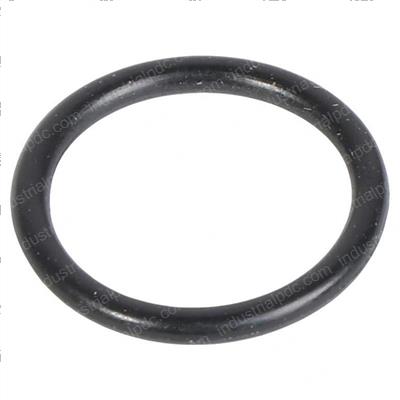Picture of O-Ring