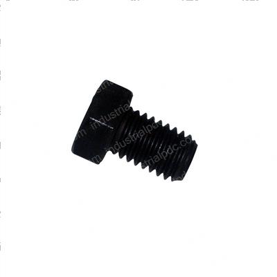 Picture of Bolt - Special