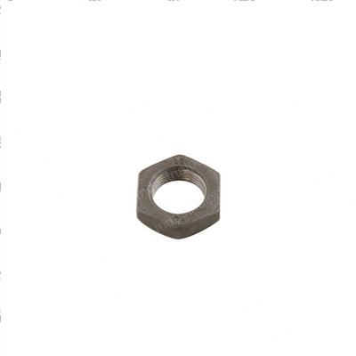 Picture of Nut
