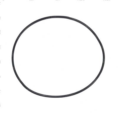 Picture of O-Ring