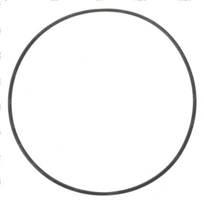 Picture of O-Ring