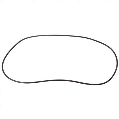 Picture of O-Ring