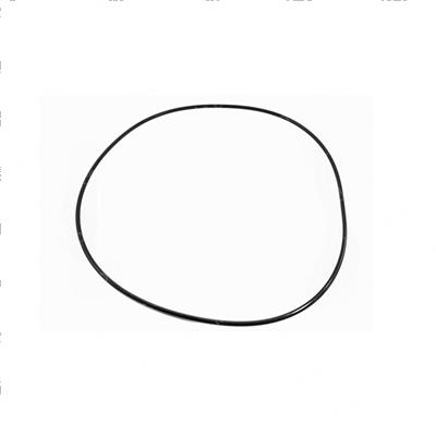 Picture of O-Ring