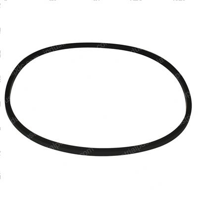 Picture of Seal