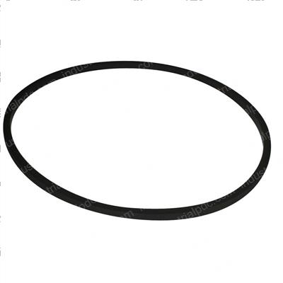 Picture of Seal