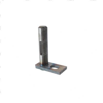 Picture of Pin a