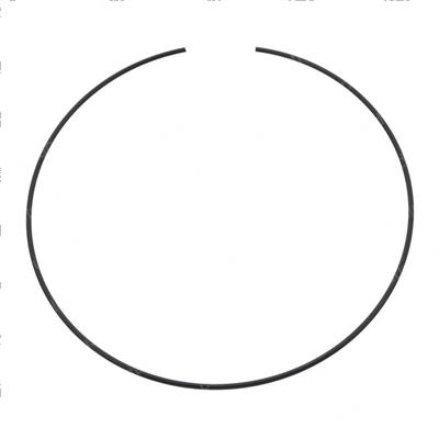 Picture of Ring - Retaining