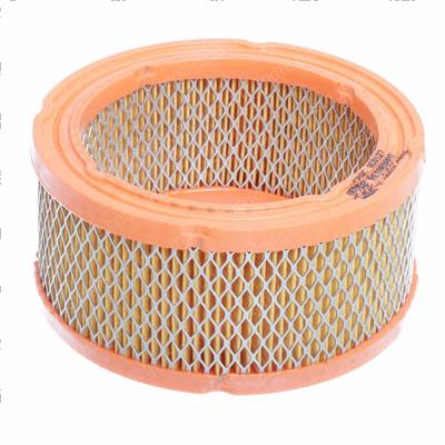 Picture of Element Air Cleaner