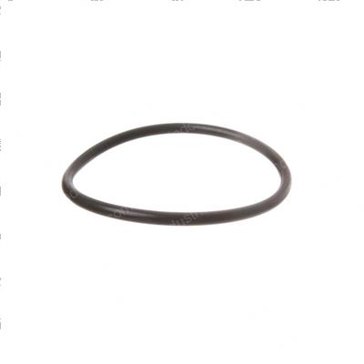Picture of O-Ring