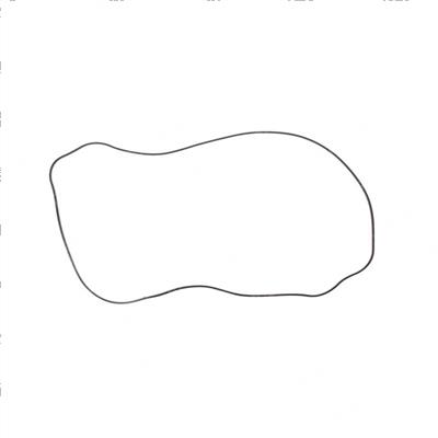 Picture of Gasket