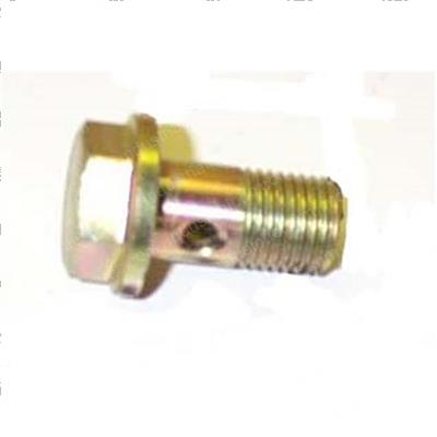 Picture of Banjo Bolt
