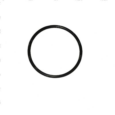 Picture of O-Ring