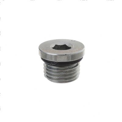 Picture of Plug - Str Thd With O-Ring