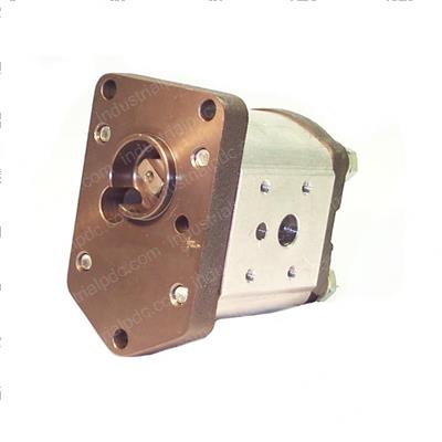 Picture of Pump - Gear