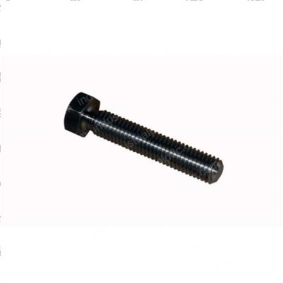 Picture of Screw - Hex Cap