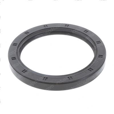 Picture of Oil Seal - Rear Crankshaft