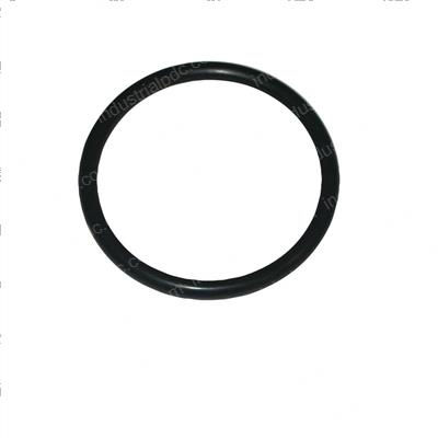 Picture of O-Ring
