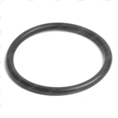 Picture of O-Ring