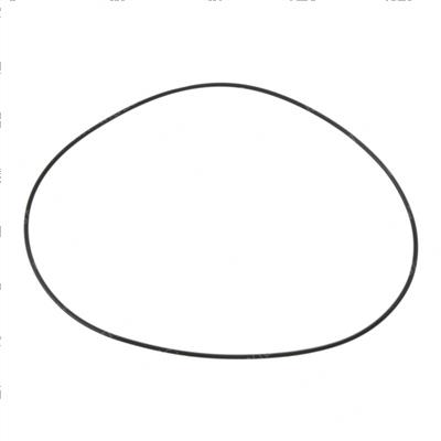 Picture of O-Ring