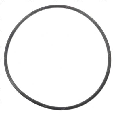 Picture of O-Ring