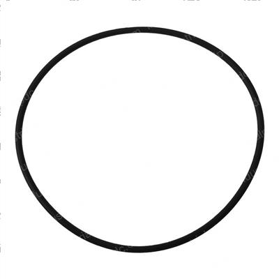 Picture of Oring-Dr Mtr