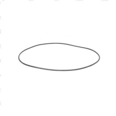 Picture of O-Ring
