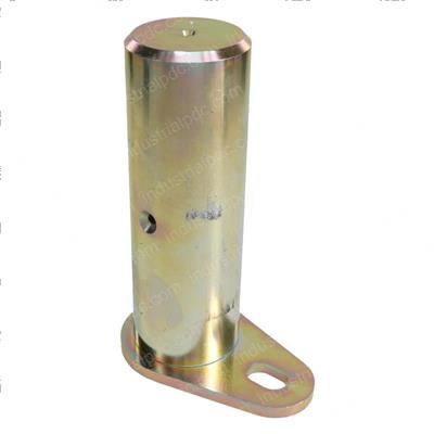 Picture of Pin Side Tilt Frame Pivot