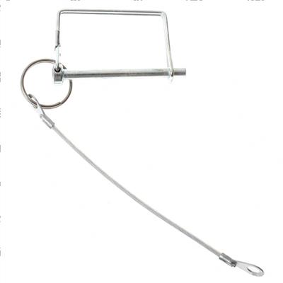 Picture of Pin-Lanyard