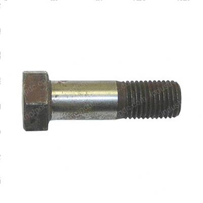 Picture of Bolt