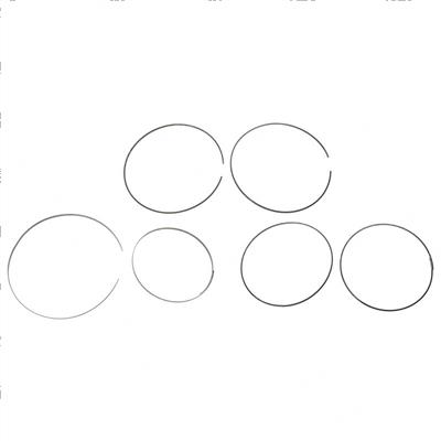 Picture of Ring Set - Radial