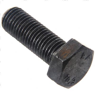 Picture of Bolt