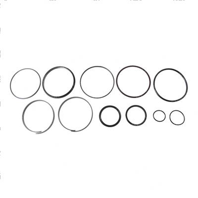 Picture of Seal Kit - Hydraulic Cylinder