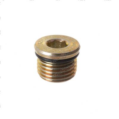 Picture of Plug #6