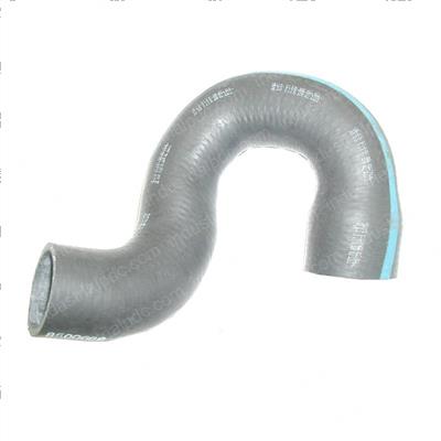 Picture of Hose - Radiator