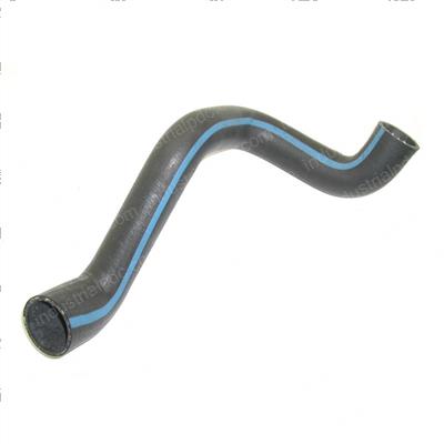 Picture of Hose - Upper Radiator