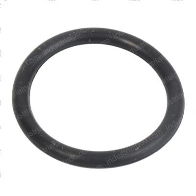 Picture of O-Ring