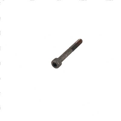 Picture of Screw - Socket